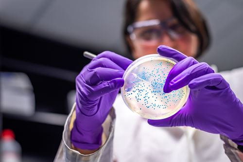 Woman scientist with petri dish