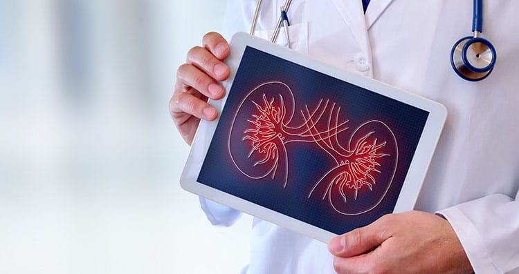 kidney image on tablet