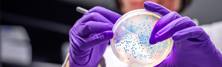 Genetics and Genomics homepage banner. Image of doctor looking into Petri dish.