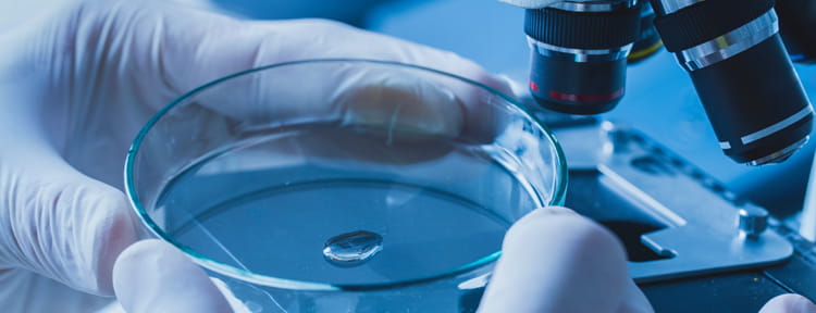 UPMC Physician Resources Endocrinology Petri Dish Photo