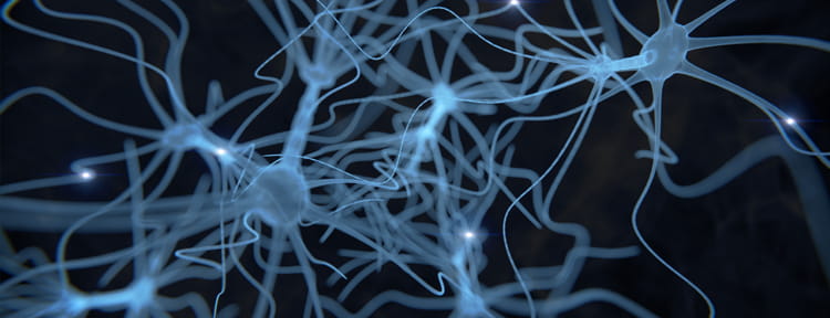 UPMC Physician Resources Image of Brain Neurons