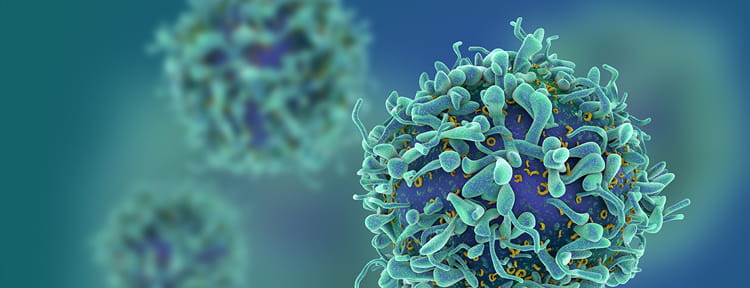 UPMC Physician Resources Oncology Cancer Cells Image