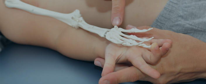 photo of a grown-up teaching a child about the skeletal system