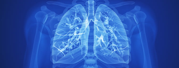 UPMC Physician Resources Image of Healthy Lungs