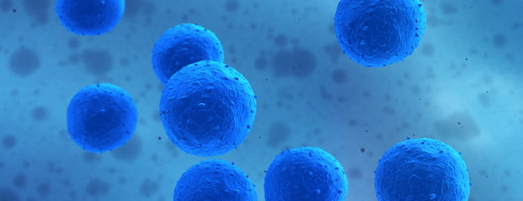 UPMC Physician Resources Stem Cell Transplantation Image