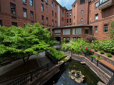 Storm Water Management, Green Spaces, and Trees