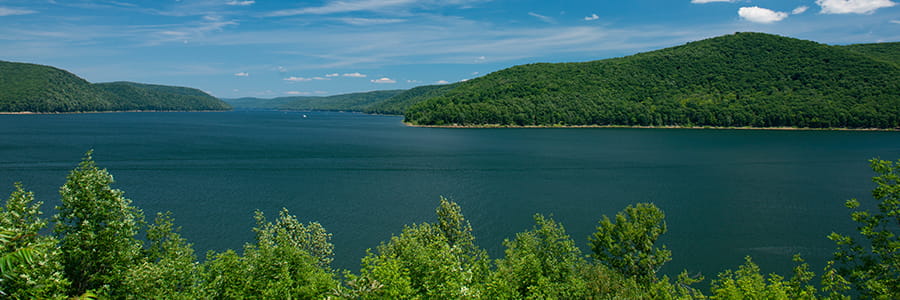 UPMC Center for Sustainability News