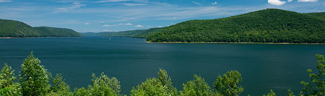 UPMC Center for Sustainability News