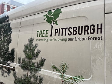 Tree Pittsburgh