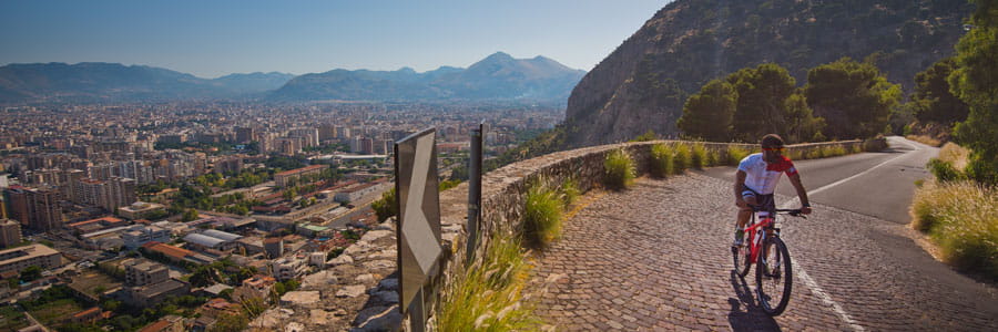 UPMC International Division 