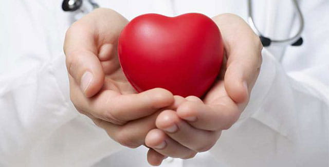 Doctors hands holding a heart.