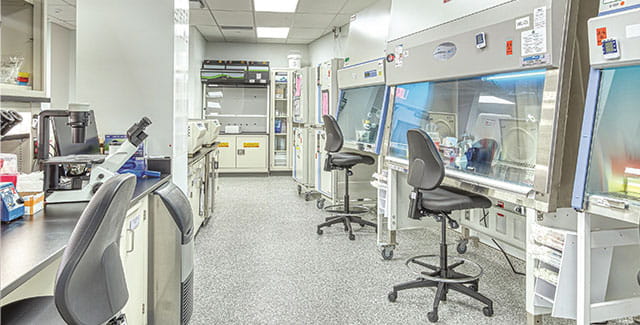 CAR T Lab 