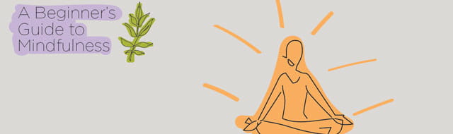 A Beginner's Guide to Mindfulness