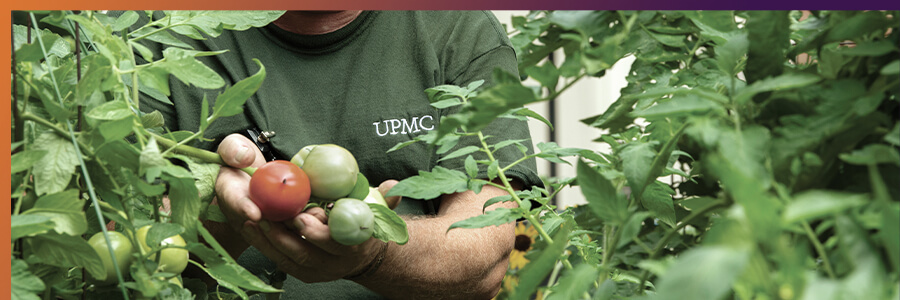 Magee Healing Garden