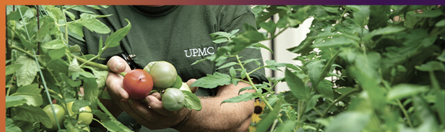 Magee Healing Garden