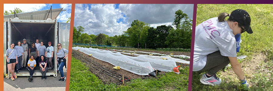 Hilltop Urban Farm Stories