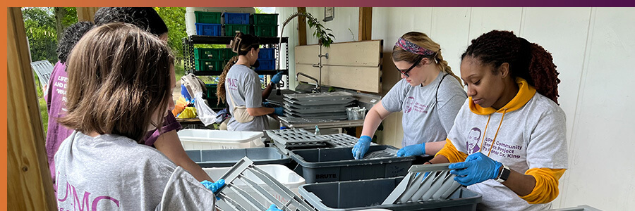 MLK Day of Service, Hilltop Urban Farm