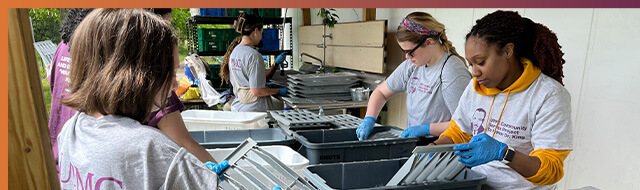 MLK Day of Service, Hilltop Urban Farm