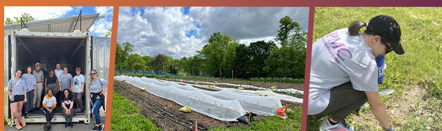 Hilltop Urban Farm Stories