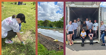 Hilltop Urban Farm Stories