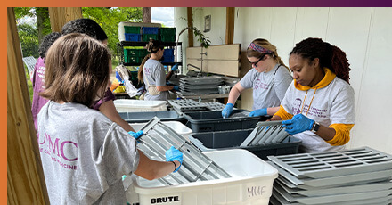 MLK Day of Service, Hilltop Urban Farm