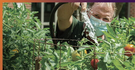 Magee Healing Garden