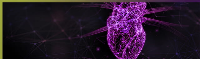 Savannah K., MHA, Director, Heart and Vascular Institute