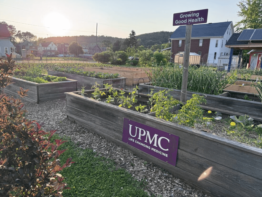 Growing Good Health Community Garden