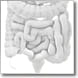 Colon and Rectoal Surgery