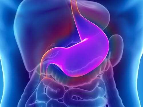 Stomach x-ray graphic