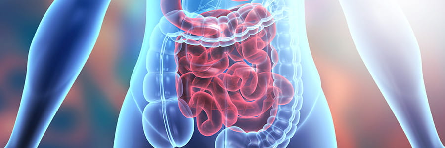 UPMC Hamot Digestive Health