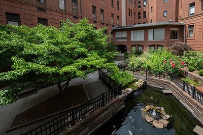 Learn more about the hospital gardens at UPMC Magee-Womens.