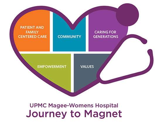 Professional Practice Model