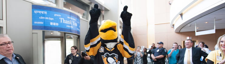 iceburg magee banner