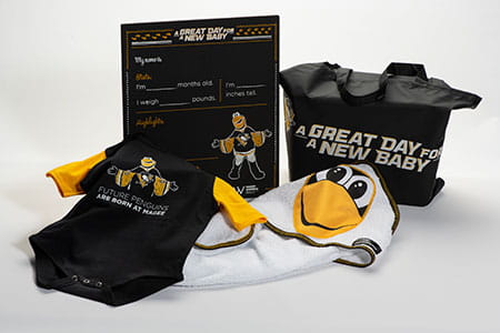 Pittsburgh Penguins® Gift Bag