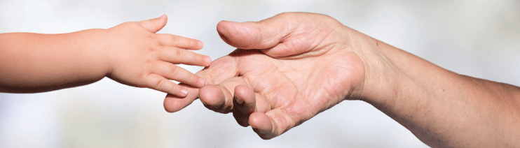 magee about us banner