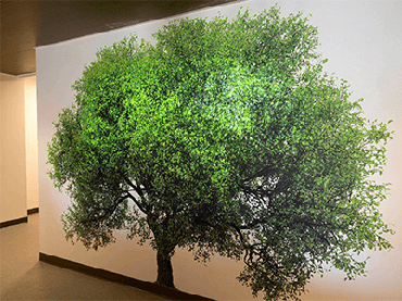 A projection of light creates the image of a tree moving in the breeze.