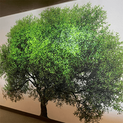 Large projection of a tree and simulated sunlight. Learn more about the art installation by Adam Frank.