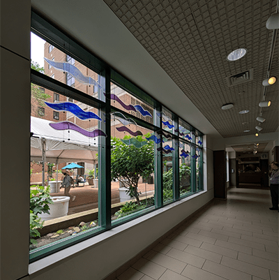 The artist designed this suspended sculpture to fit perfectly within the existing window frames in the west entry. As people move through the corridor, they experience the flow and shifting colors of the artwork. 