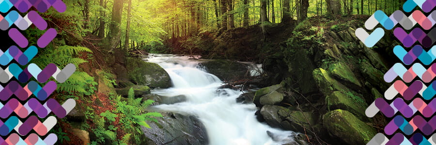 Partners for Family Empowerment (PFE) Program | UPMC - Pittsburgh, PA