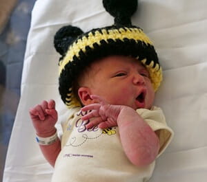 Sweet as Can Bee Baby