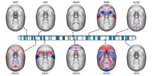 Conversation Facial Genetics web page