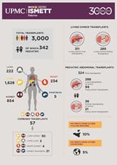Factsheet_ISMETT transplantation in numbers