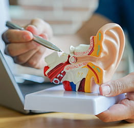 Hearing and Balance services image card.