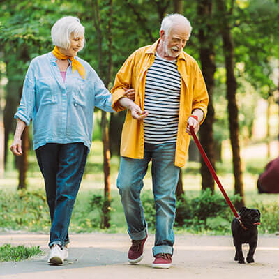 Joint replacement image card -- older couple walking dog.