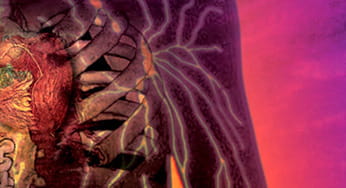 Regenerative Heart and Blood Vessel Treatment at the McGowan Institute