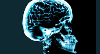 Neuron Transplants at the McGowan Institute