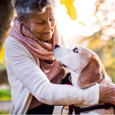 An older woman pets a beagle.