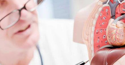 Can You Live Without Your Liver?