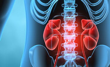 Kidney Services